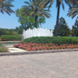 Meet your Posher, Frandy